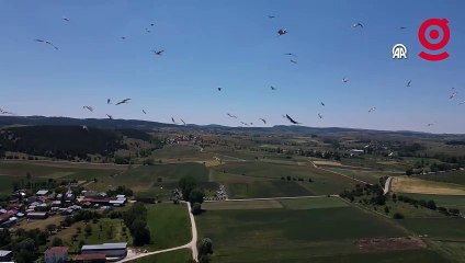 "Leyleklerin dansı" dronla görüntülendi