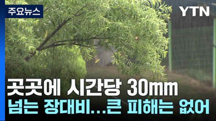 곳곳에 시간당 30mm 넘는 장대비...큰 피해는 없어 / YTN