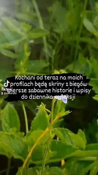 #announcements @ampyx