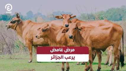 مرض غامض يرعب الجزائر