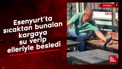 Esenyurt'ta sıcaktan bunalan kargaya su verip elleriyle besledi