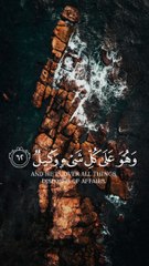 اللَّهُ خَالِقُ كُلِّ شَيْءٍ وهُوَ عَلَى كُلِّ شَيْءٍ وَكِيلٌ (1)