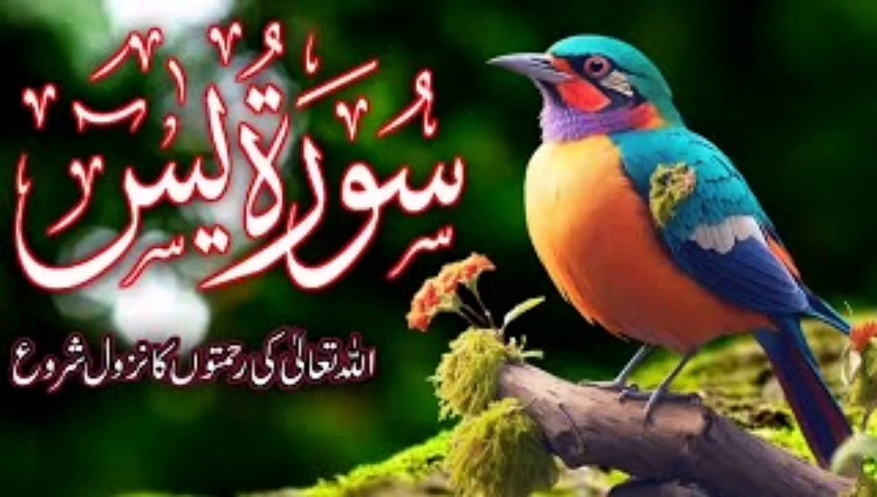 Surah yaseen ki talawat | سورۃ یس | surah yaseen relaxing voice |quran amazing| quran ki talawat