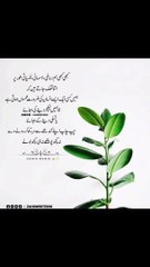 بعض اوقات ہمیں ایسے لوگوں کی ضرورت محسوس ہوتی ہے