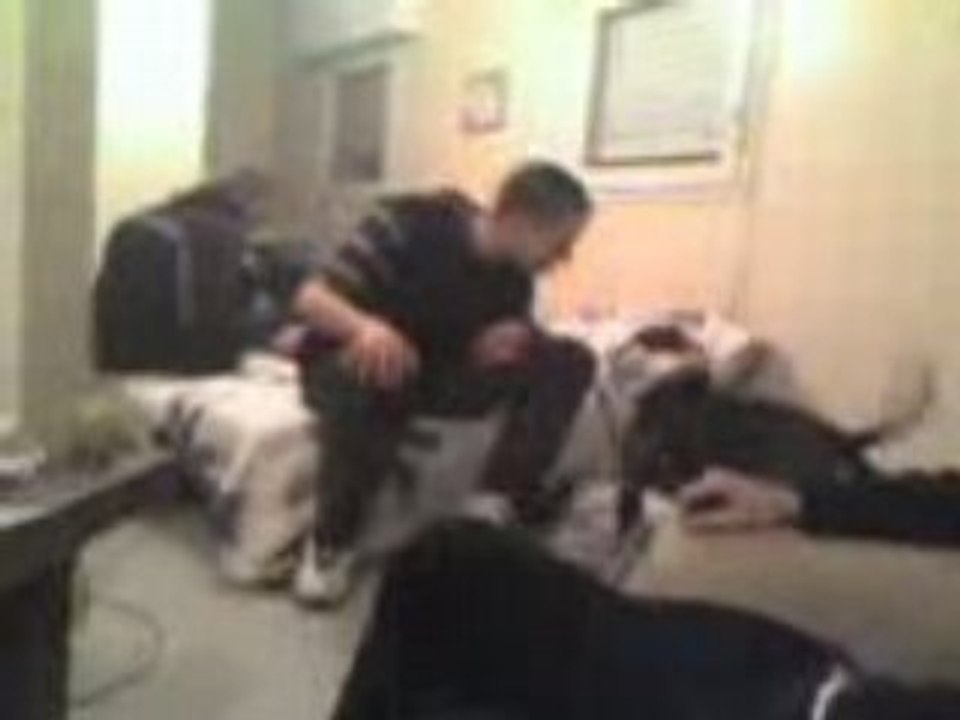 urton le pitt bull du 37