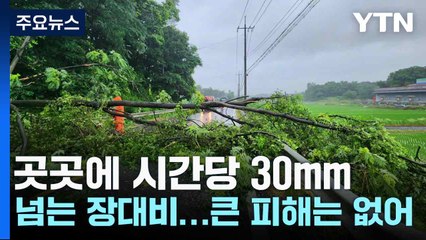 곳곳에 시간당 30mm 넘는 장대비...큰 피해는 없어 / YTN