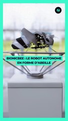  Bionicbee :  Un robot autonome en forme d’abeille 