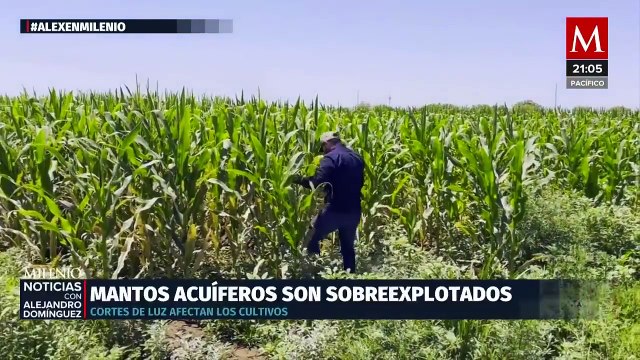Agricultores califican la sequía como la peor de los últimos cinco años en Chihuahua