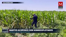 Agricultores califican la sequía como la peor de los últimos cinco años en Chihuahua