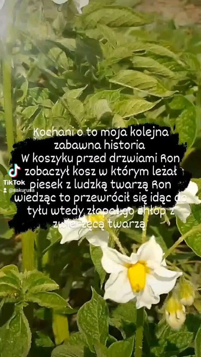 #funny story @hardweel