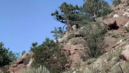 Ride in the Whirlwind   Full Action Western   Free HD 1960s Classic Drama Film   Jack Nicholson   WC