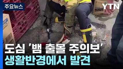 여름철 '뱀 출몰 주의보'..."이제는 아파트까지" / YTN