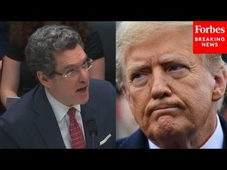 Dem Lawmaker Asks Witness To 'Help Correct That Specific Fallacy' Of GOP Arguments On Trump's Trial