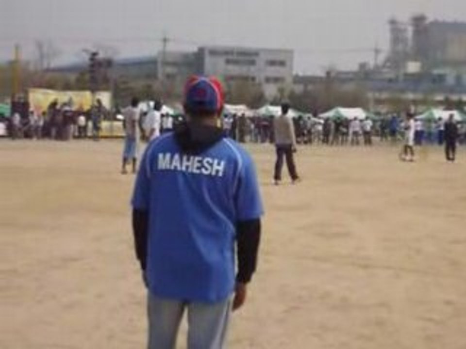 Softball cricket