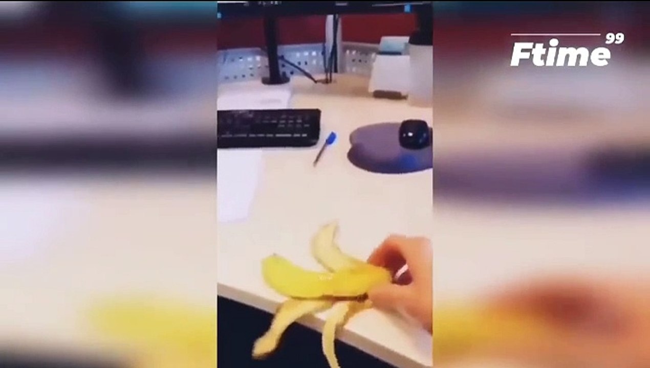 Funny Moments #2