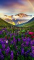 Most amazing places on earth
