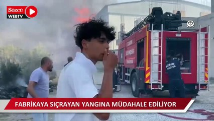 Video herunterladen: Otluk alanda başlayan ve bir fabrikaya sıçrayan yangına müdahale ediliyor