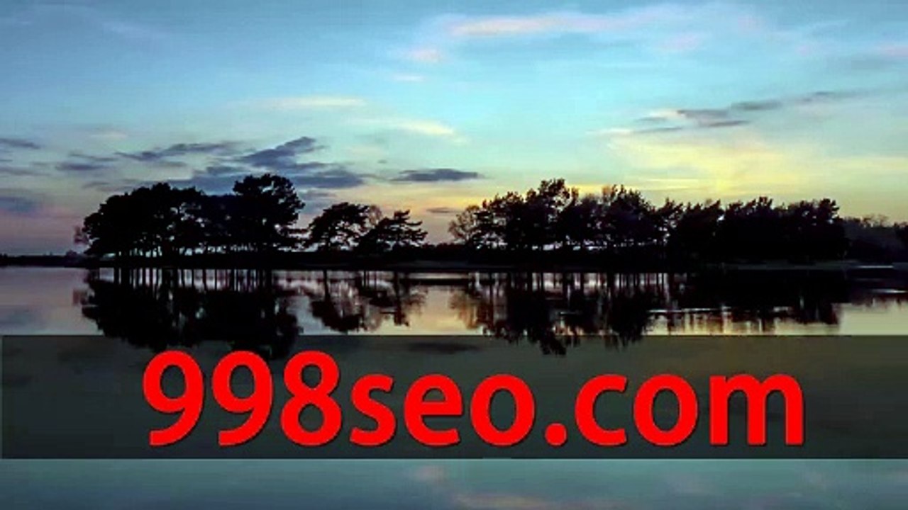 【998seo.com】google仿牌独立站推广.txt