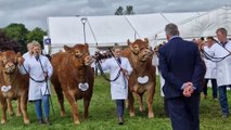 Watch: What does it take to win at the Royal Highland Show