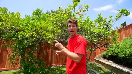 I Built a SECRET Tree House in My Backyard!