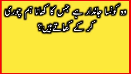 Paheliyan In Urdu/Hindi with Answer | urdu paheliyan #viral