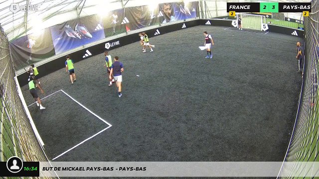 But de Mickael Pays-bas - PAYS-BAS