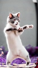 Creater Naresh funny video 01