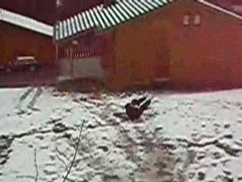 Vacances avril 2008 6