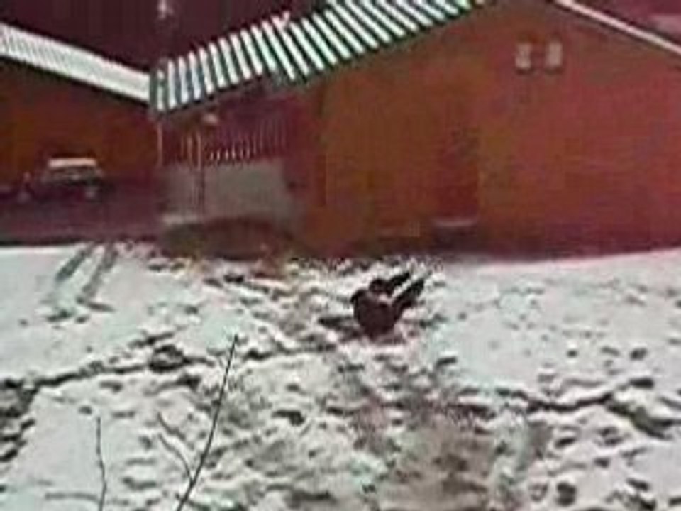 Vacances avril 2008 6