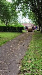 Les olympiades en vidéo