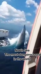North Sea | Ocean | Sharks | Ships