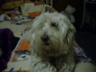 Rosa fait sa fofolle