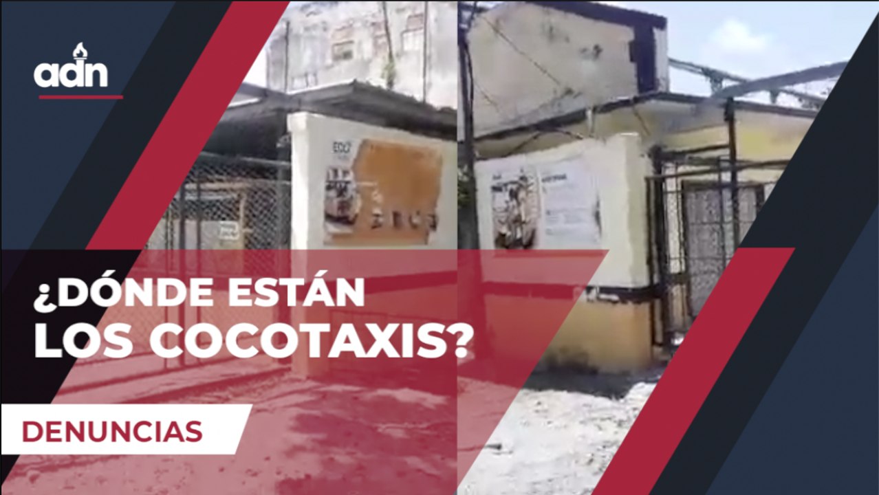 ¿Dónde están los Cocotaxis?