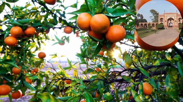 Most papular Dua Manzil | Ful Manzil Dua | Tilawat Quran with Spain video