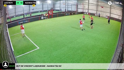 But de Vincent Labouesse - Nankatsu SC