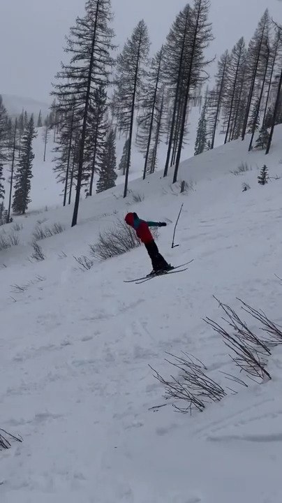 Skier Falls Miserably While Performing Backflip