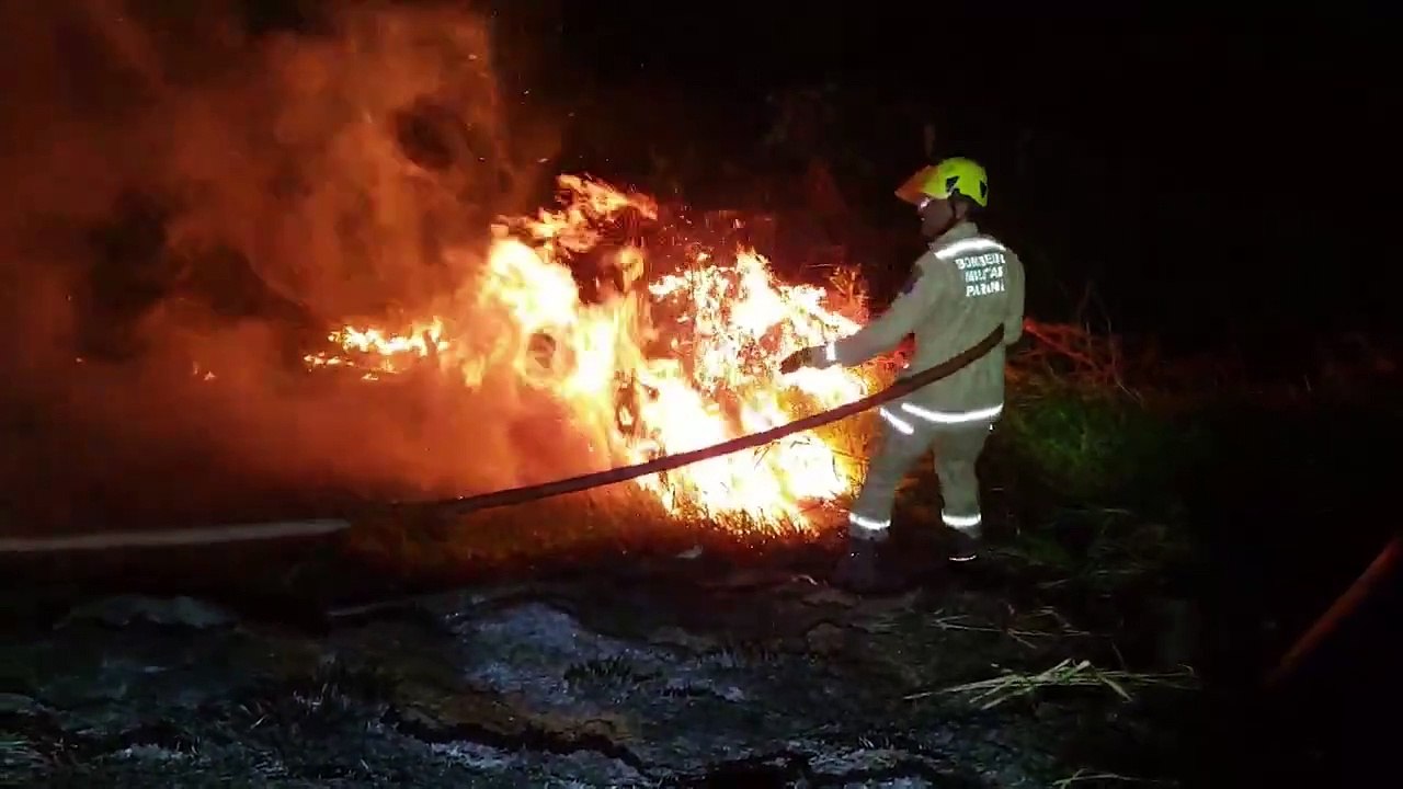Fumaça cobre trevo e rodovia e bombeiros são mobilizados em grande incêndio a vegetação