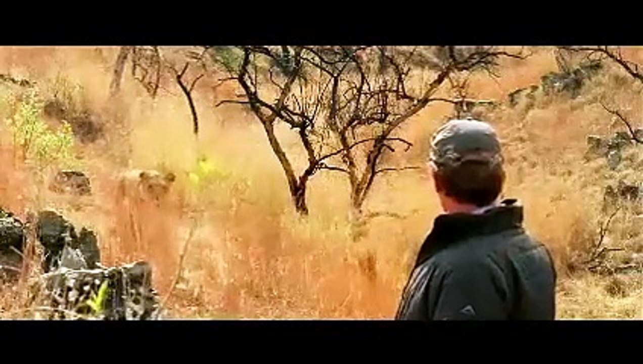 Escape from lion attack