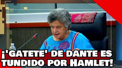 ¡VEAN! ¡Brutal! ¡gatete de Dante es liquidado por Hamlet Almaguer por presumir su fraude en Jalisco!