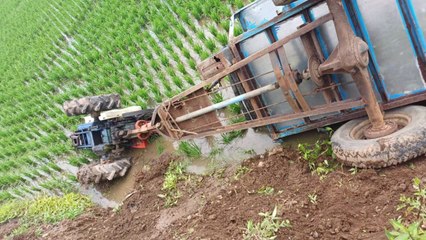 서산에서 논에 경운기 추락...80대 숨져 / YTN