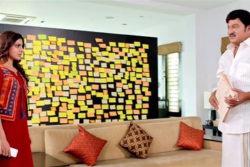 #South #Superhit #Action #Alluarjun