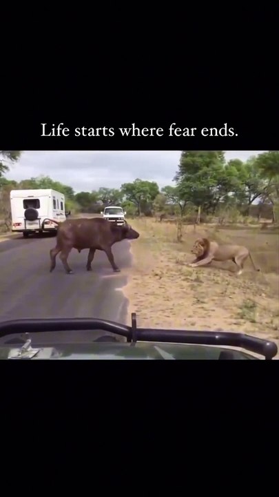 The Keys to Overcome Fear-  _1._Narrative Reframing- Change the story you tell yourself about your fear. Instead of viewing it as a barrier, see it as an exciting plot twist in your personal story. This shift in pers