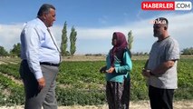 Sebze Üreticilerinin Sorunları Gündeme Geldi