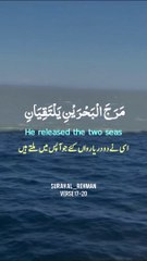 Most Beautiful Quran Recitation ❤️ Surah Al Rahman #quran#explore