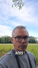 Ce n'est plus possible, il faut que je trouve une idée pour que mon chien obéisse