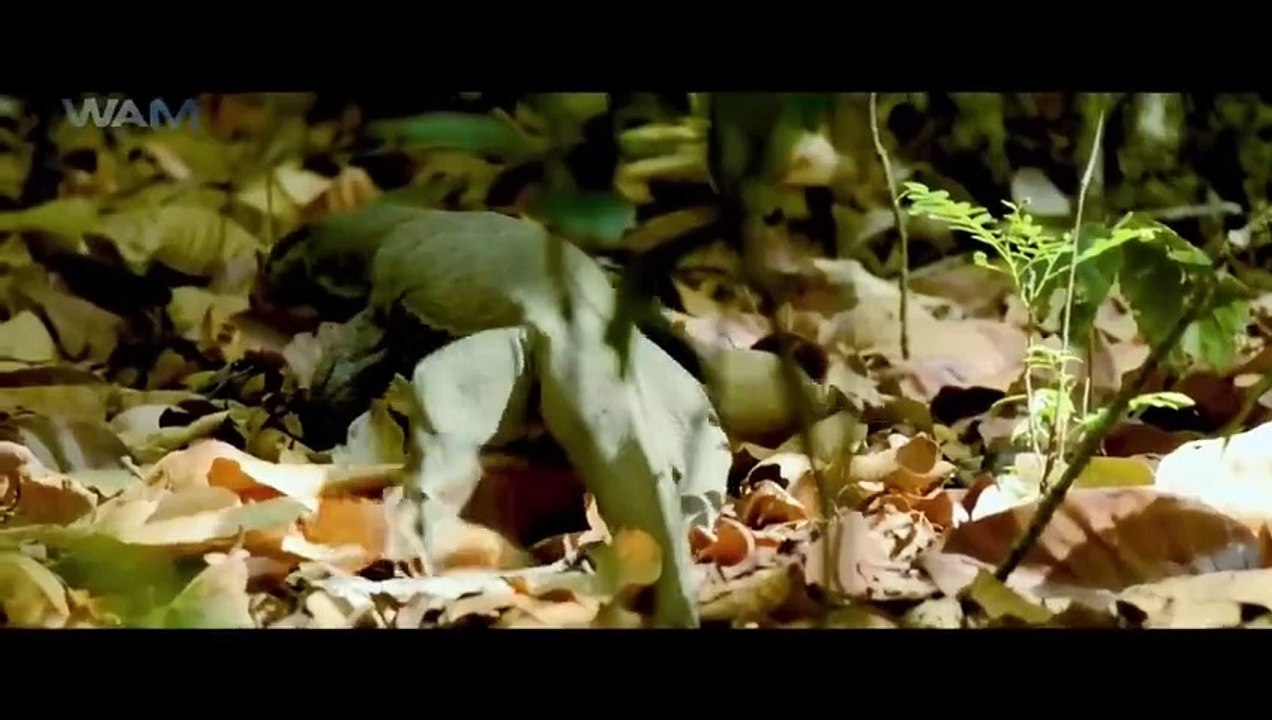 Maayon - New Released South Indian Hindi Dubbed Movie 2024 _ South Dubbed Movie _ South Movie 2024