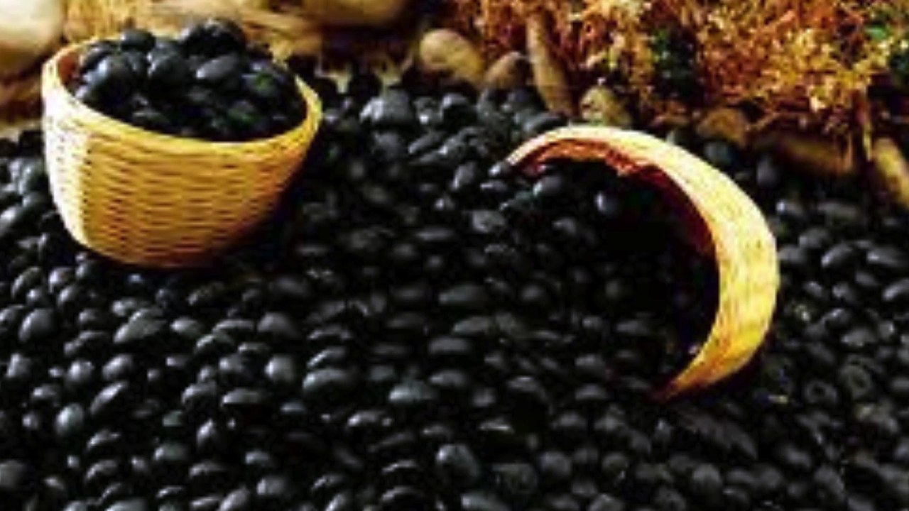 9 Manfaat Kacang Hitam, Salah Satunya Menurunkan Tekanan Darah Tinggi dan Mengatur Gula Darah