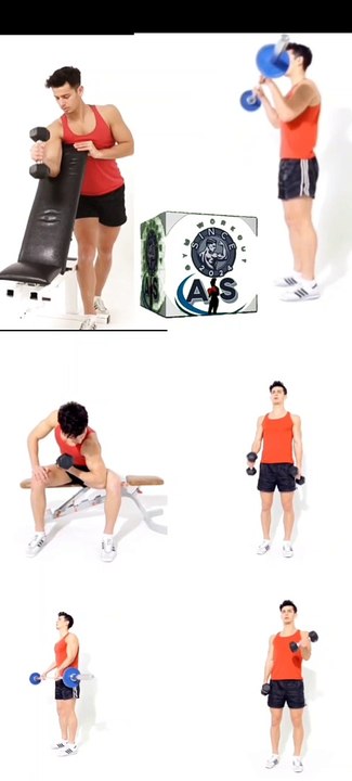 Biceps workout triceps workout bodybuilding workout gym workout sholder workout chest workout king of the gym workout