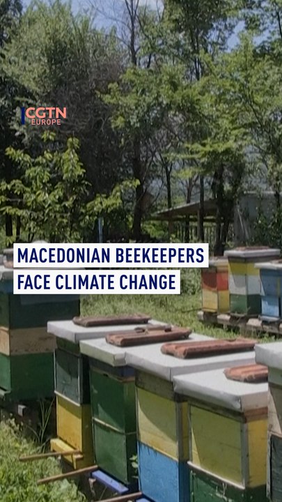 Beekeeping loses its buzz as climate change hits