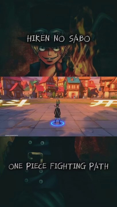 One Piece Fighting Path #1